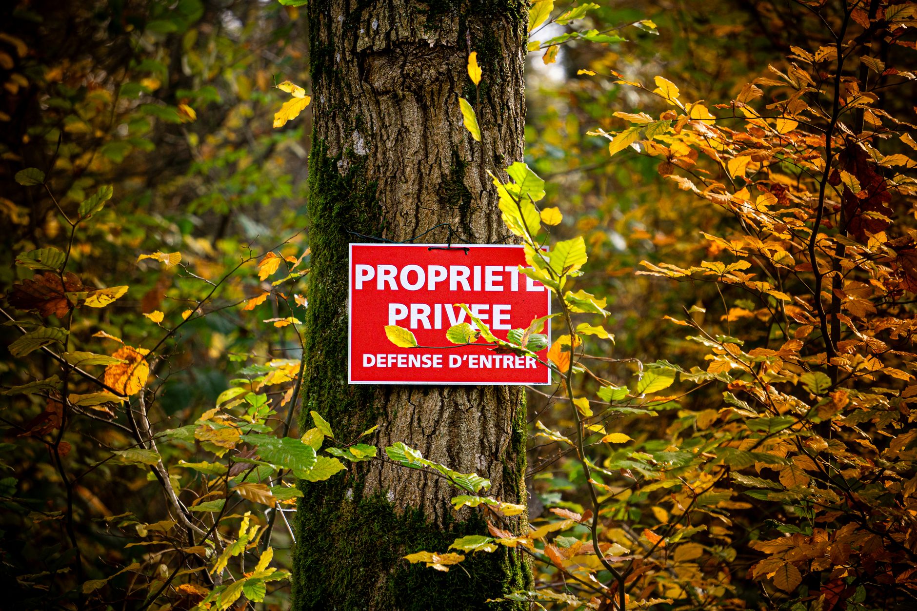Détective privé à Chambéry